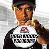 Tiger Woods PGA Tour 2004